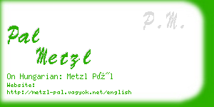 pal metzl business card